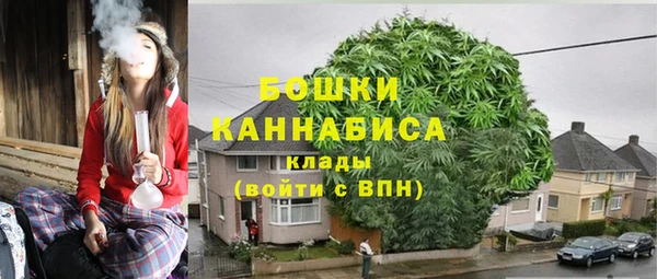 бошки Аркадак