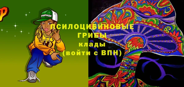 бошки Аркадак