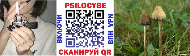 omg ТОР  Ишим  Псилоцибиновые грибы Magic Shrooms 